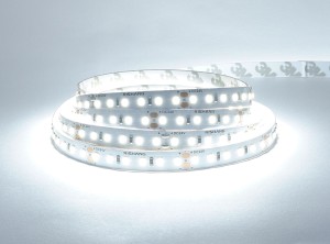 Taśma LED 24V Dzienna Zimna Biała 5000K 120LED 9,6W 10mm IP20 RV00C0TC-A  RISHANG